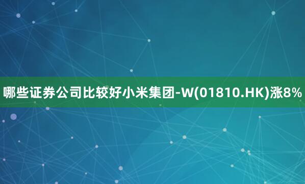 哪些证券公司比较好小米集团-W(01810.HK)涨8%